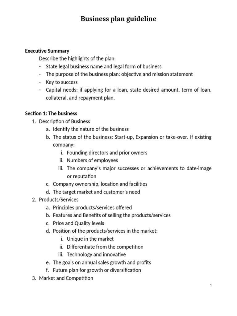Business plan_guideline_MBA SR | PDF | Marketing | Investing