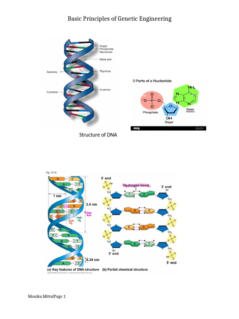 Genetic Engg. Final | PDF