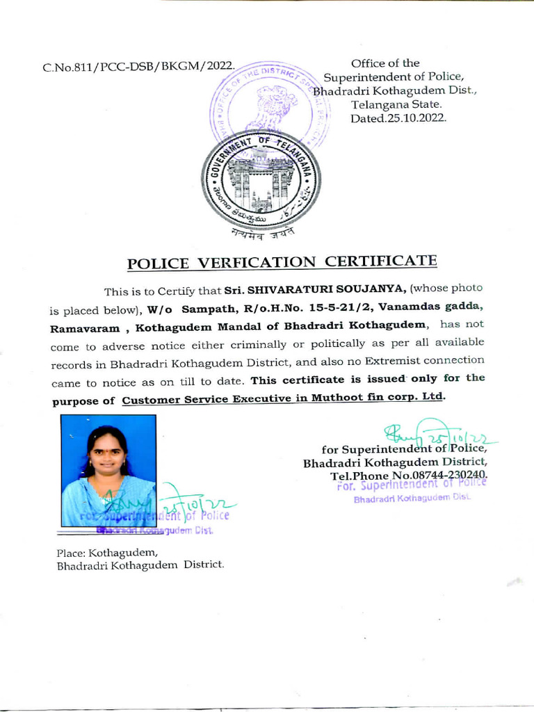PVC | PDF