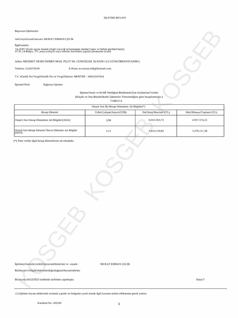 8J23W KOBİ Beyan Basvuru Formu 5489298 | PDF