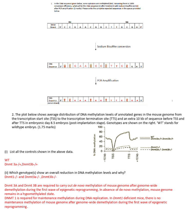 CSB349 - Week 7 Thursday Practice Problems - Answer Key | PDF