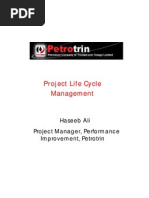 Project Life Cycle