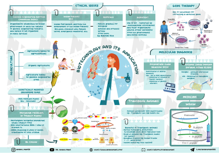 B12 Biotechnology and Application | PDF | Genetically Modified Organism ...