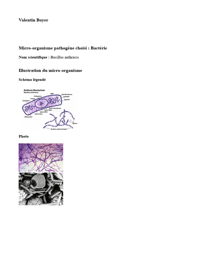 ETLV MO Pathogène | PDF