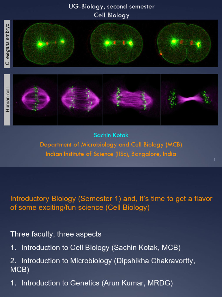 Lecture 1 | PDF | Cell (Biology) | Endoplasmic Reticulum
