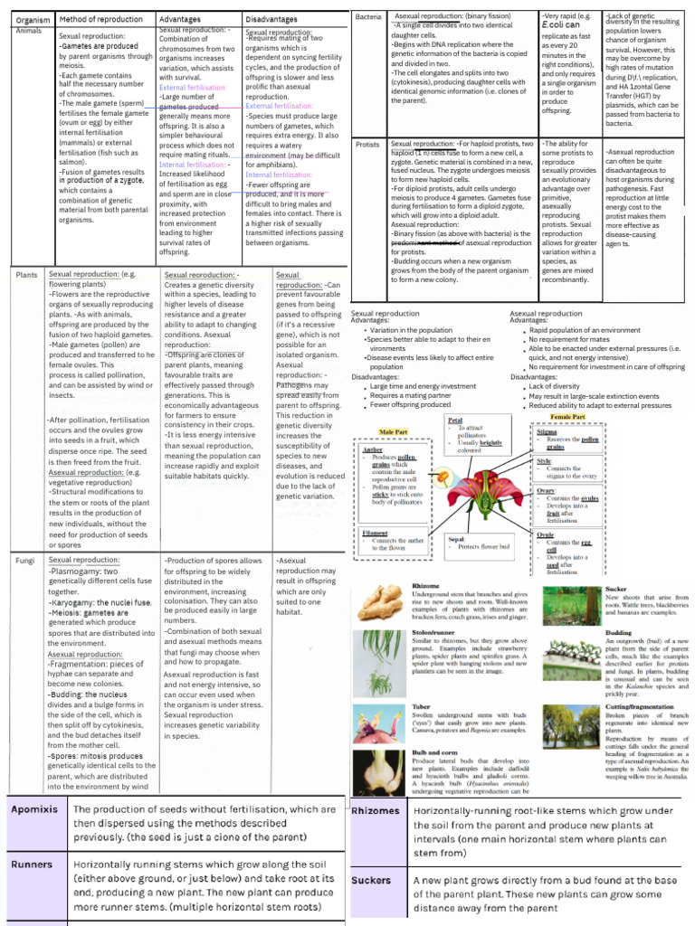 Method of Reproduction | PDF | Sexual Reproduction | Reproduction