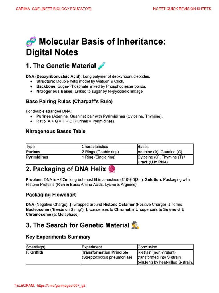Molecular Basis of Inheritance - QRN - Notes | PDF