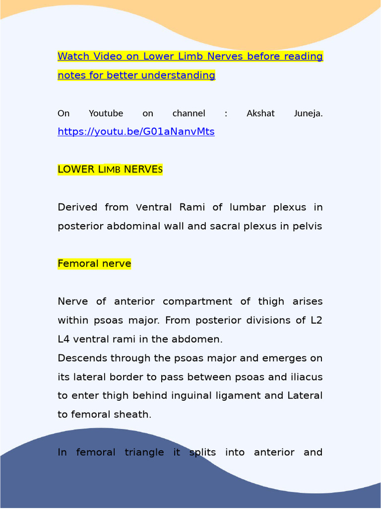 Lower Limb Nerves Notes | PDF | Human Leg | Human Anatomy