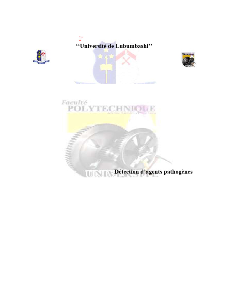 2026 UNILU Polytech Msc2 CH Ind Groupe 1 TP 06 - 063506-1 | PDF ...
