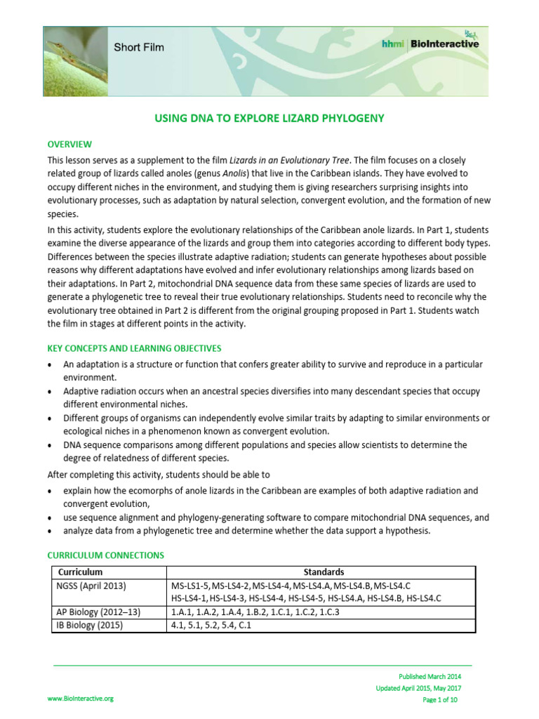 Lizard Phylogeny Teacher | PDF | Phylogenetics | Phylogenetic Tree
