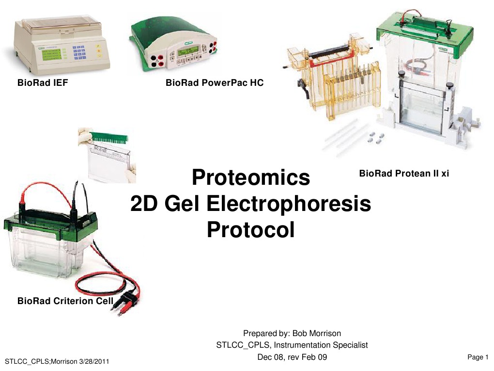 BioRad 2D Gel Electrophoresis Guide | PDF | Polyacrylamide Gel ...