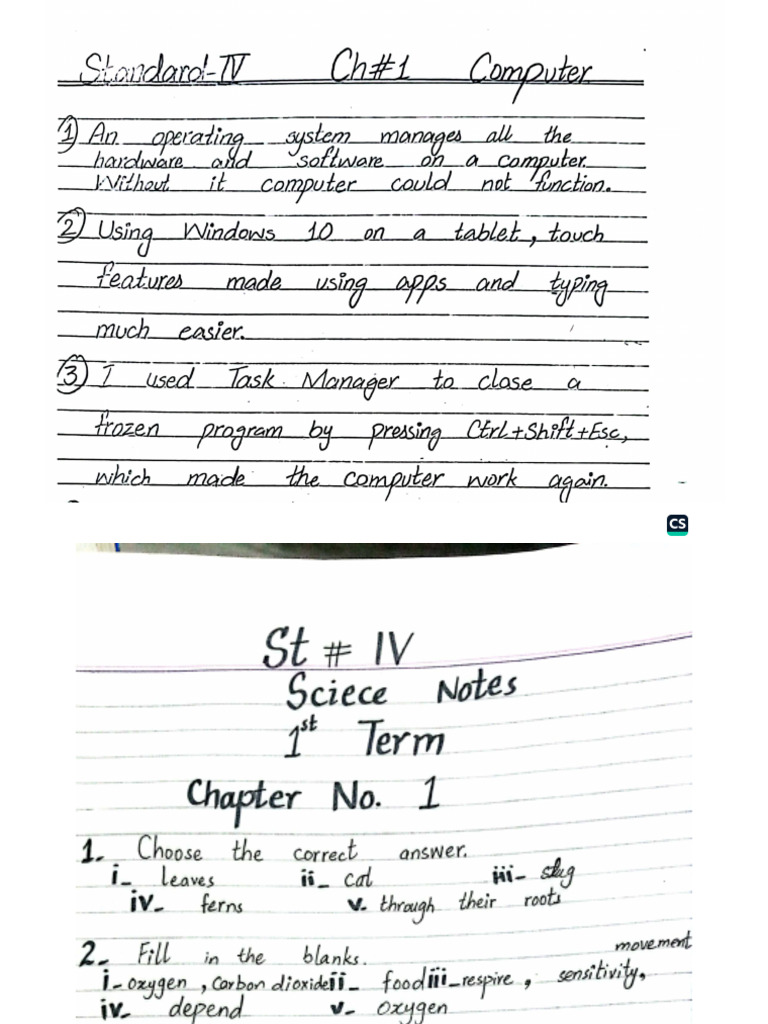 St# IV White Notes | PDF