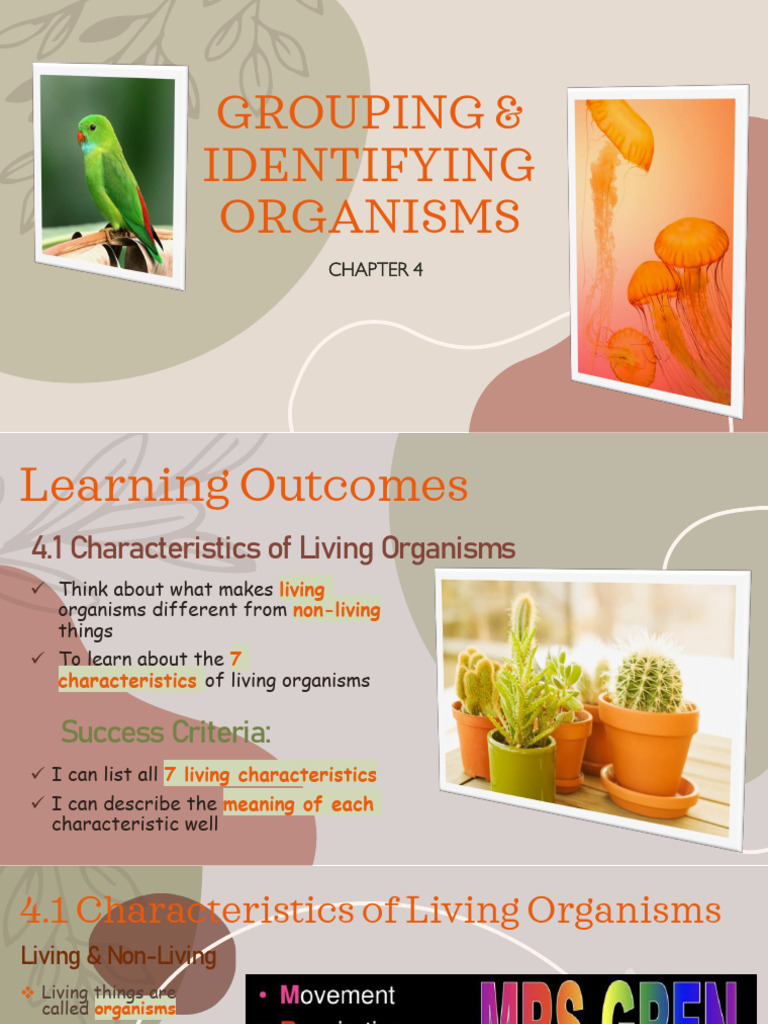 Chapter 4 Grouping Identifying Organisms | PDF