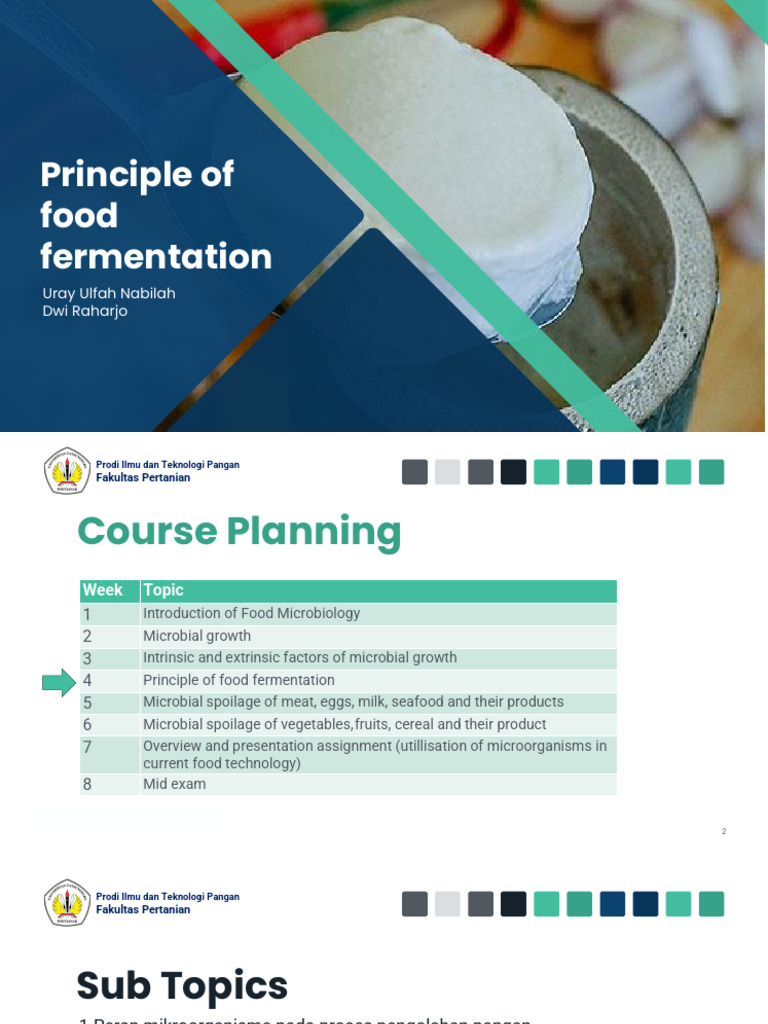 Principle of Food Fermentation | PDF | Fermentation | Lactic Acid