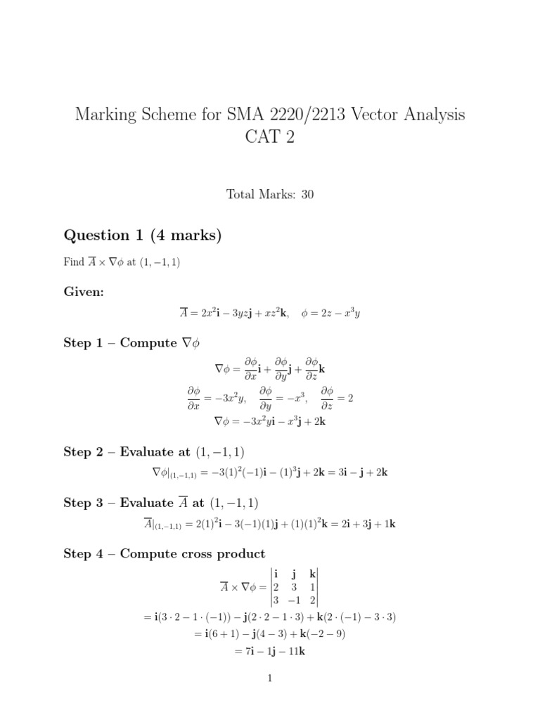 Sma 2220 Cat Two Marking Scheme Jan 2026 | PDF | Integral | Flux