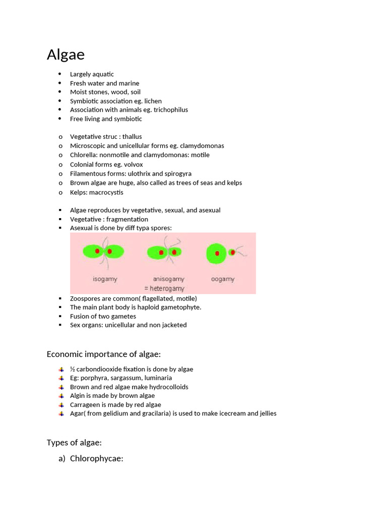 Algae | PDF