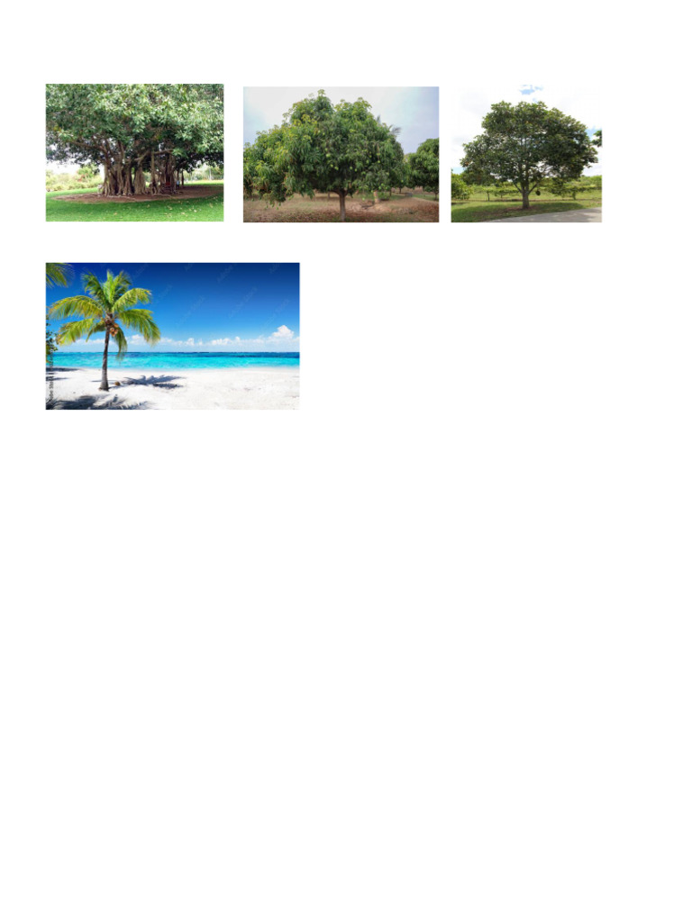 Trees | PDF