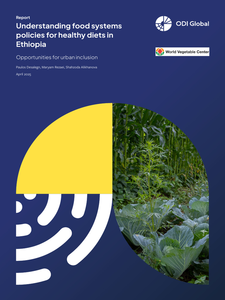 Understanding Food Systems Policies For Healthy Diets in Ethiopia | PDF ...