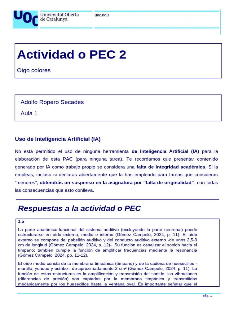 PEC 2 Plantilla IB | PDF | Escuchando | Audiología