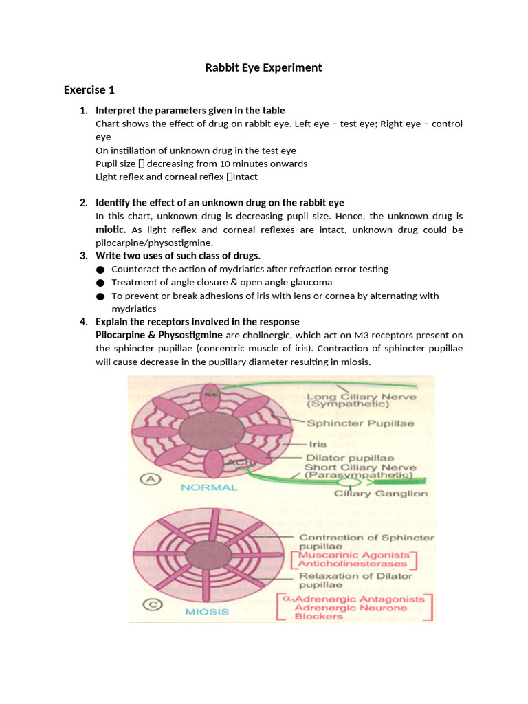 Rabbit Eye Experiment Notes | PDF | Ophthalmology | Human Eye