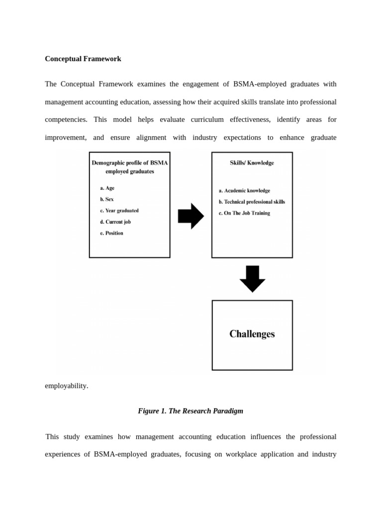 Conceptual Framework | PDF | Management Accounting | Evaluation