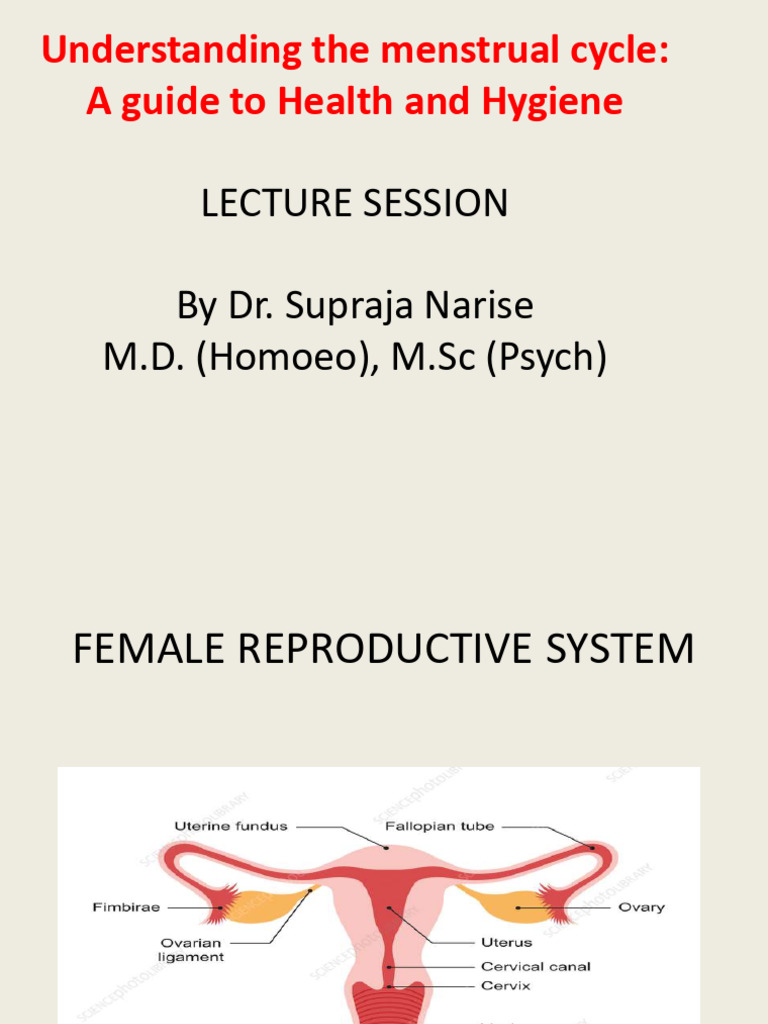 Understanding The Menstrual Cycle-1 | PDF