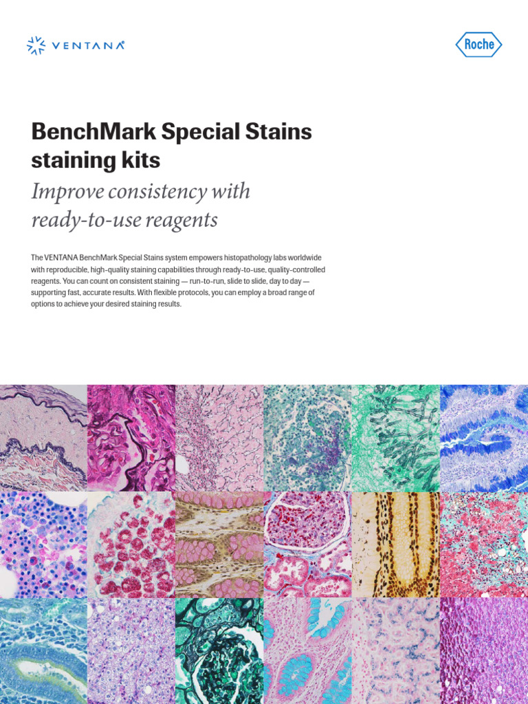 Histological Special Stains | PDF