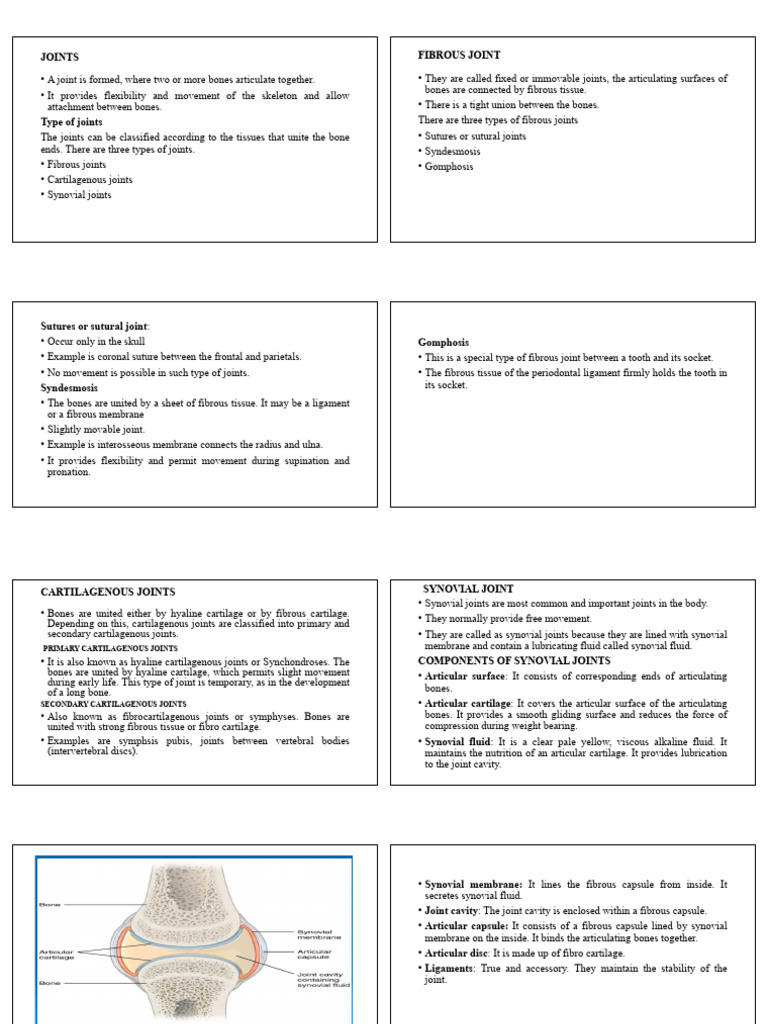 Joints | PDF | Anatomical Terms Of Motion | Joint