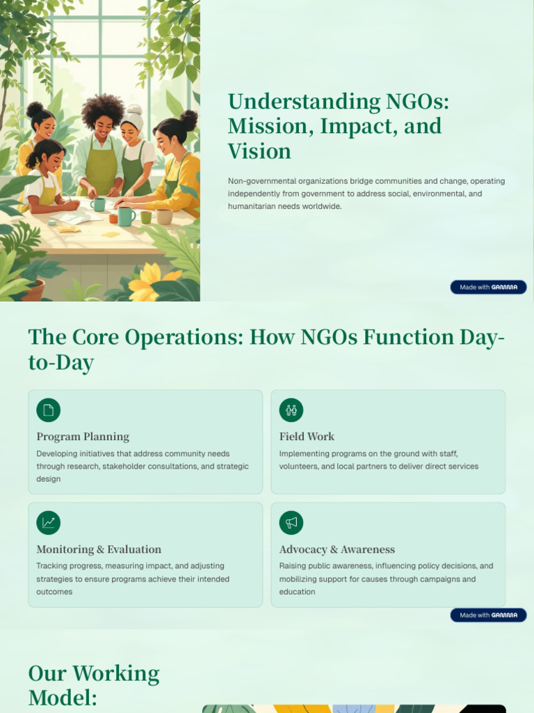 Understanding NGOs Mission Impact and Vision | PDF | Non Governmental ...