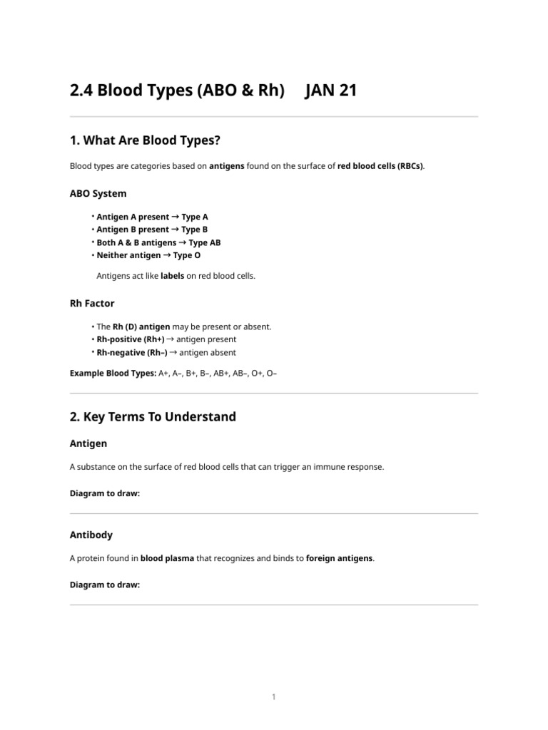 Blood Types - Printable Notes | PDF | Blood Type | Serology