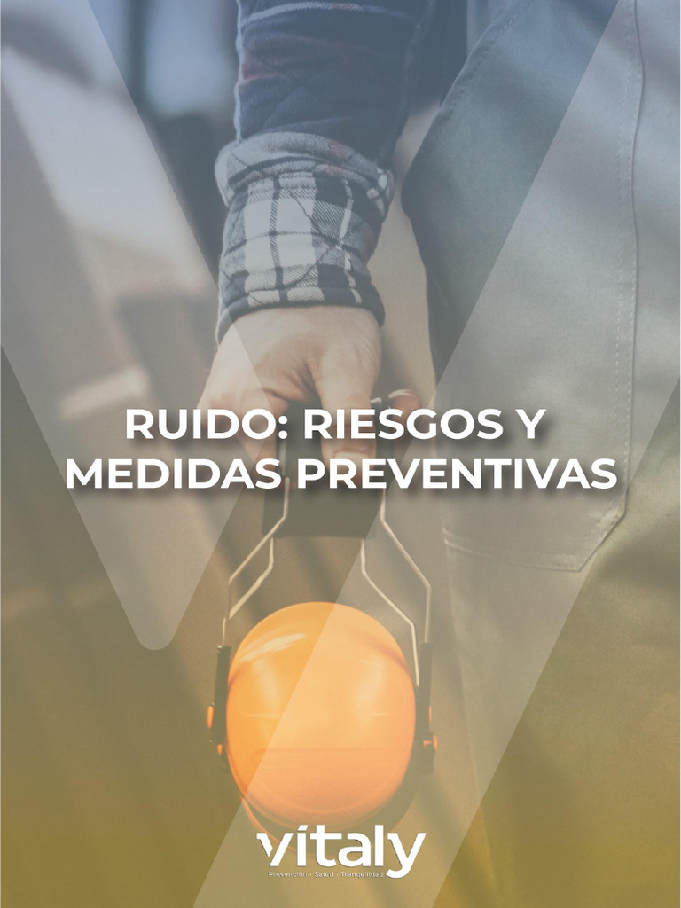 Ruido - Riesgos y Medidas Preventivas | PDF | ruido | Sonido