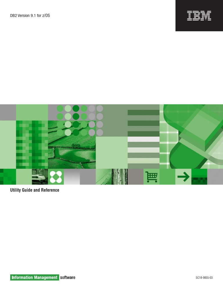 DB2 V9 Utility Guide Dsnugk13 | PDF | Database Index | Ibm Db2