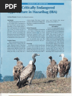 Download Vulture Conservation Hazaribag by Satya Prakash SN101344638 doc pdf