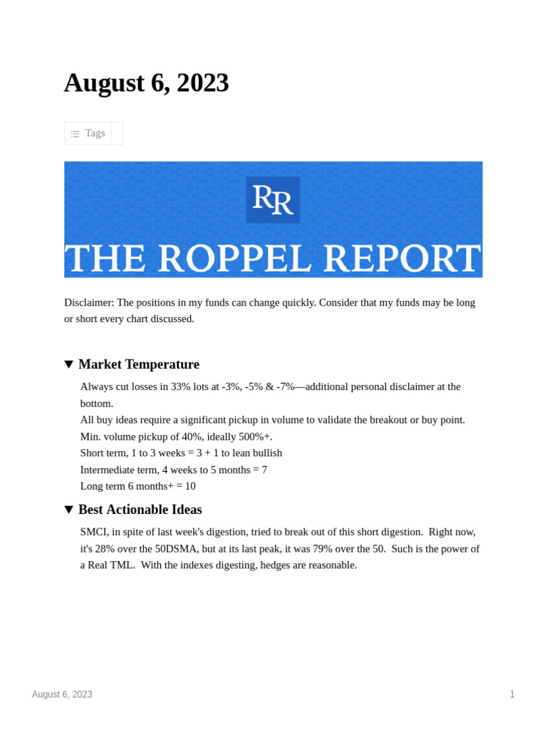 Ropple Report | PDF | Investing | Hedge (Finance)