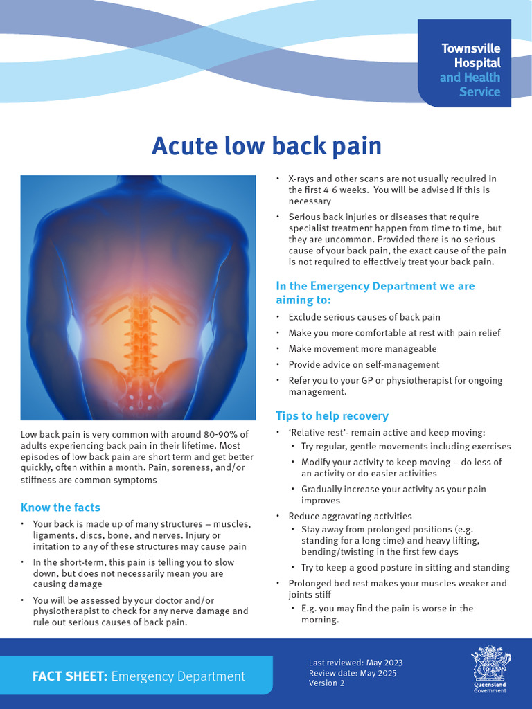 Acute Low Back Pain Fact Sheet | PDF | Back Pain | Low Back Pain