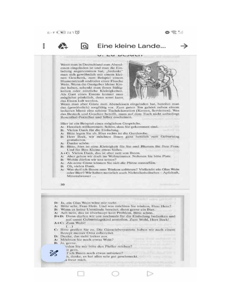Zu Besuch (Der Text) | PDF