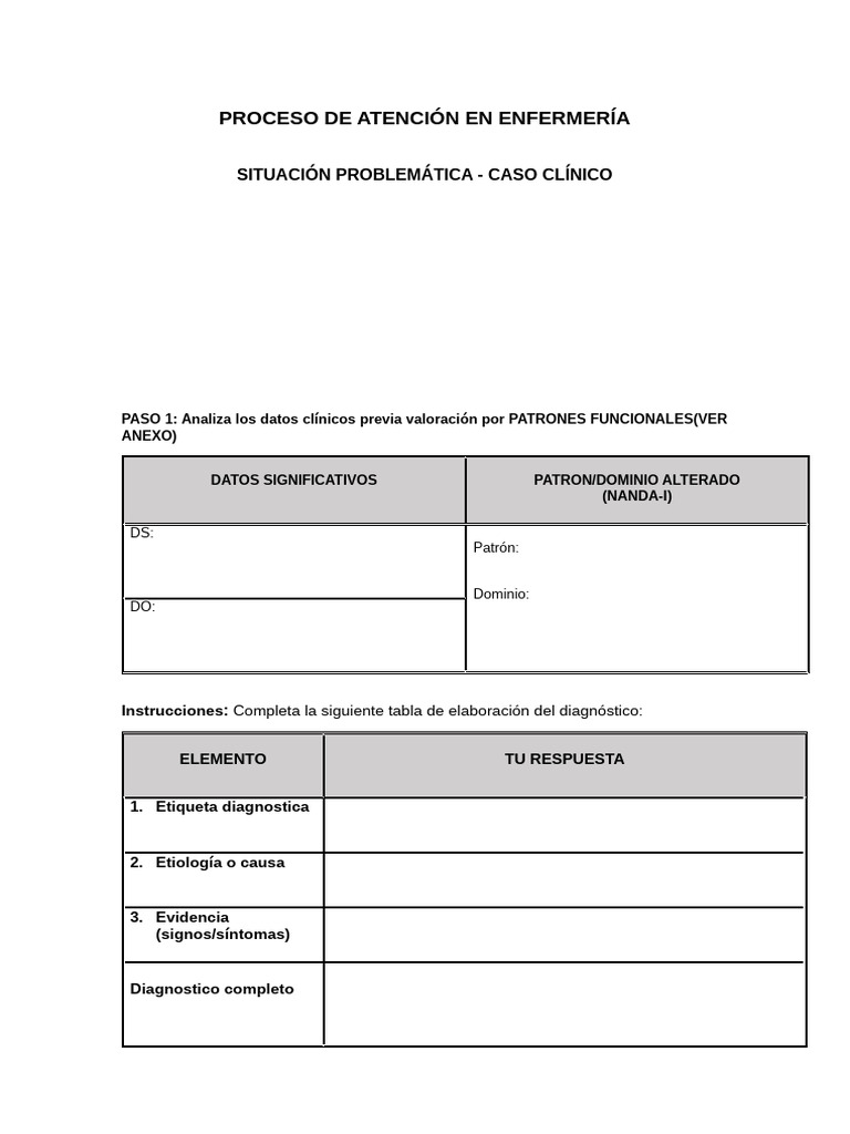Formatos Pae - Imprimir | PDF | Enfermedades y trastornos