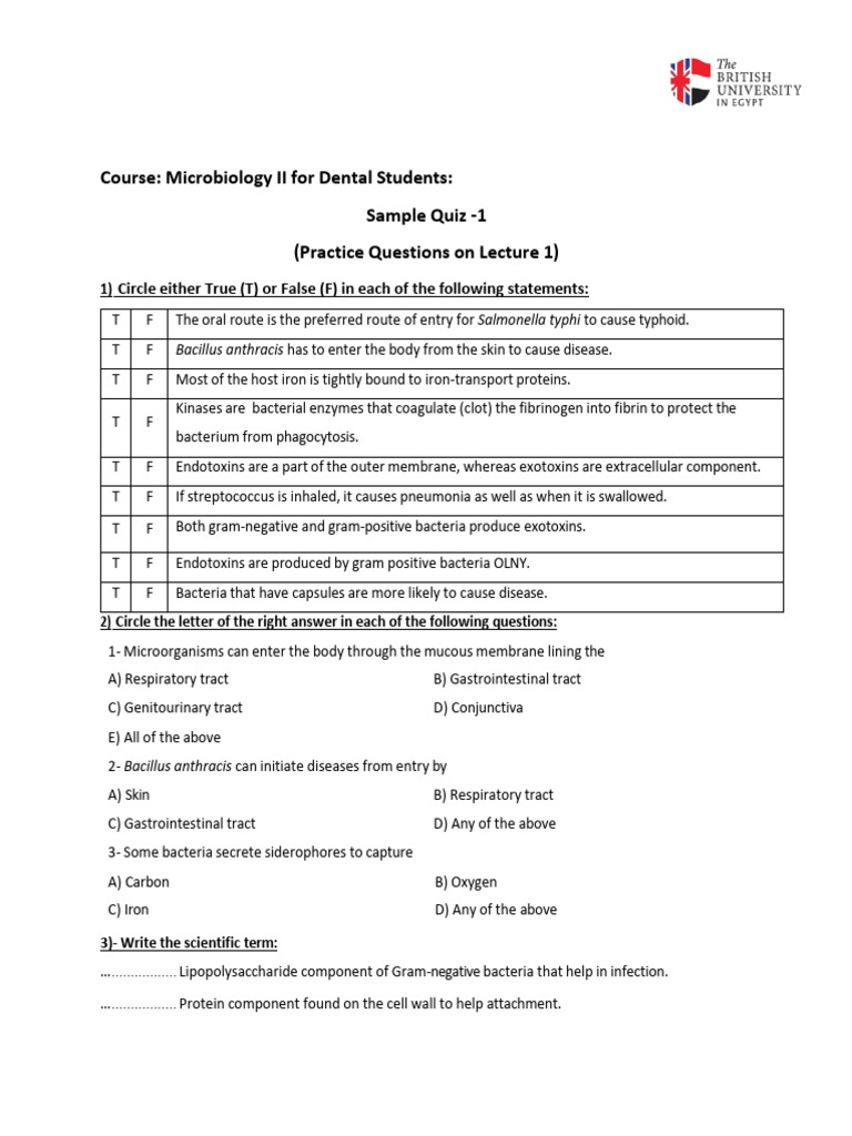 Sample Quiz 1-25-26 | PDF