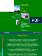 Biomas de Chile_Zona Lluviosa
