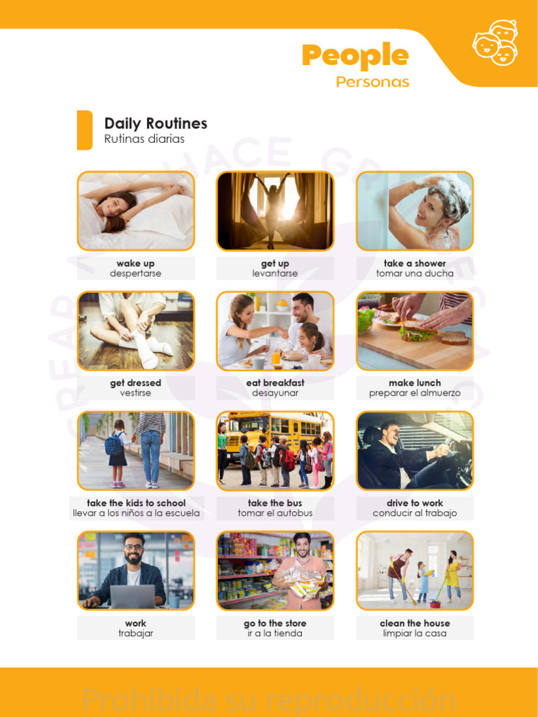 Daily Routines | PDF