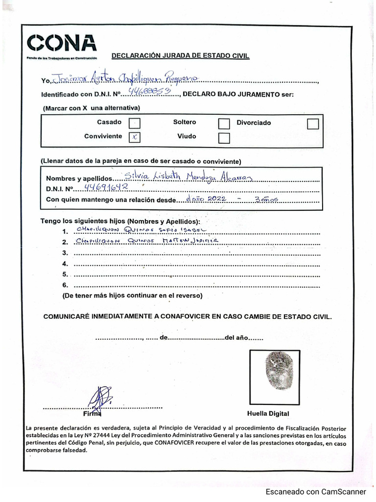 Declaracion Jurada Cona | PDF