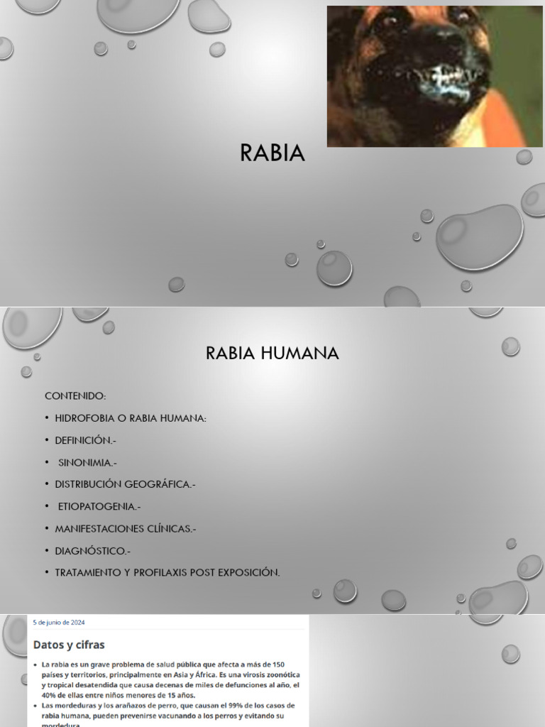 Ñ RABIA 15 2025 | PDF | Rabia | Virus