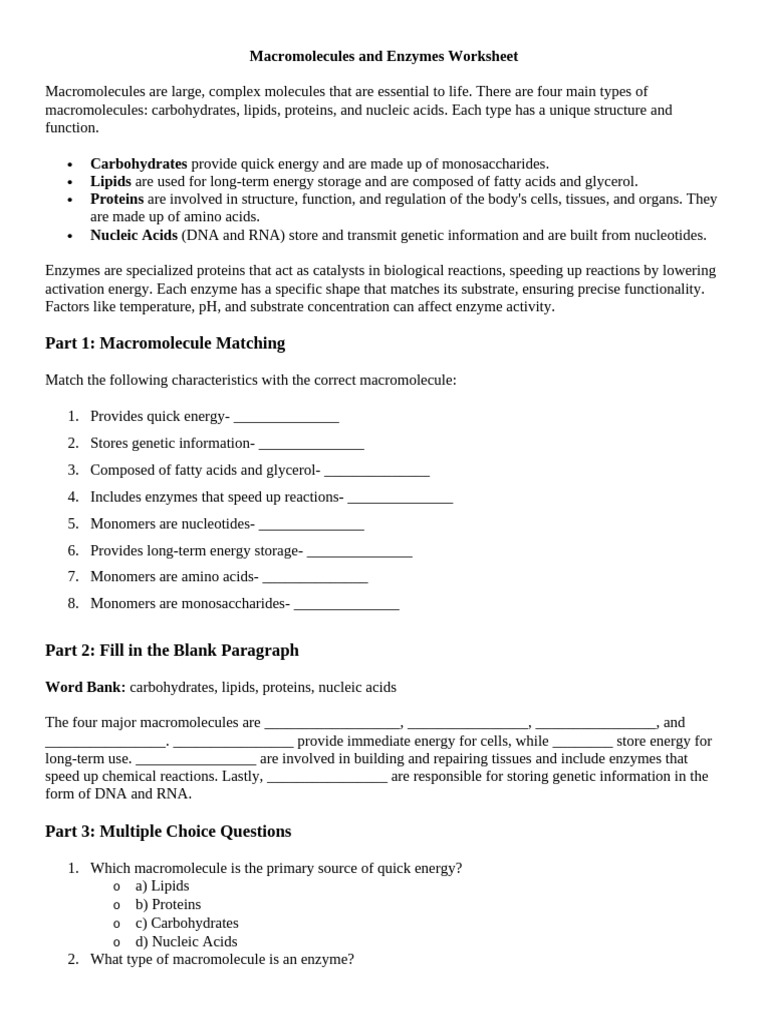 1.1 Macromolecules and Enzymes | PDF | Macromolecules | Enzyme