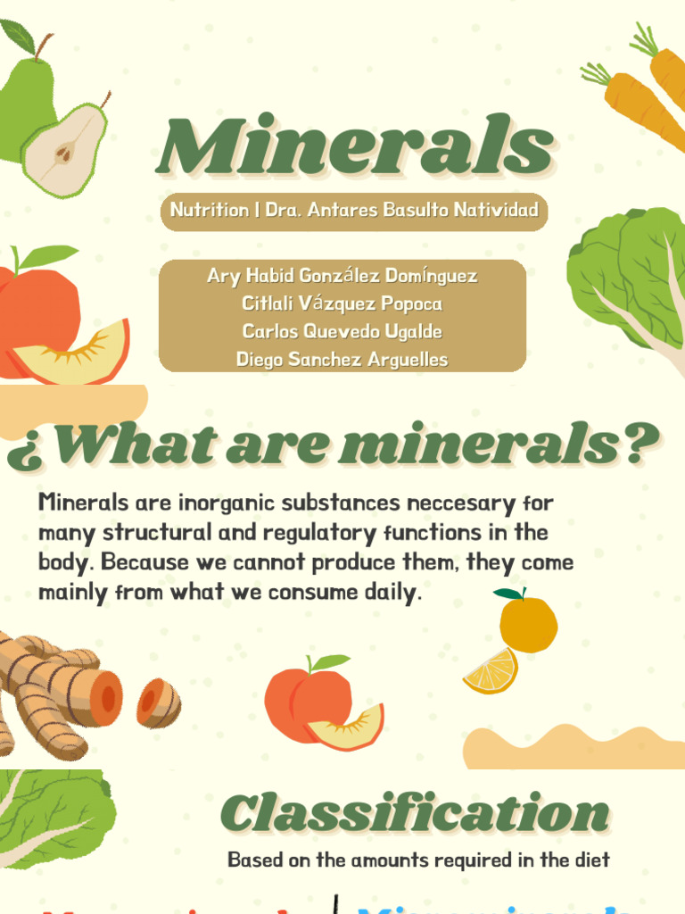 Minerals | PDF