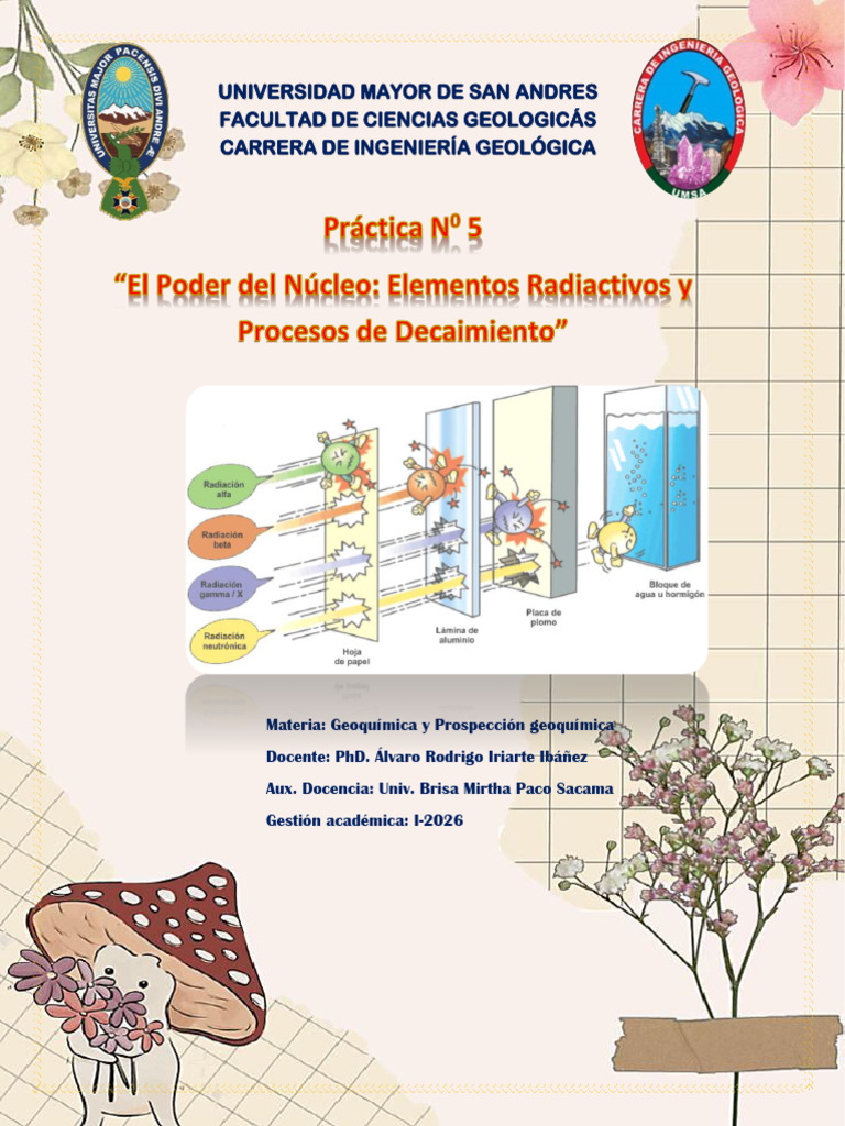 DECAIMIENTO RADIOACTIVO Vida Media Métodos de Decaimiento | PDF ...