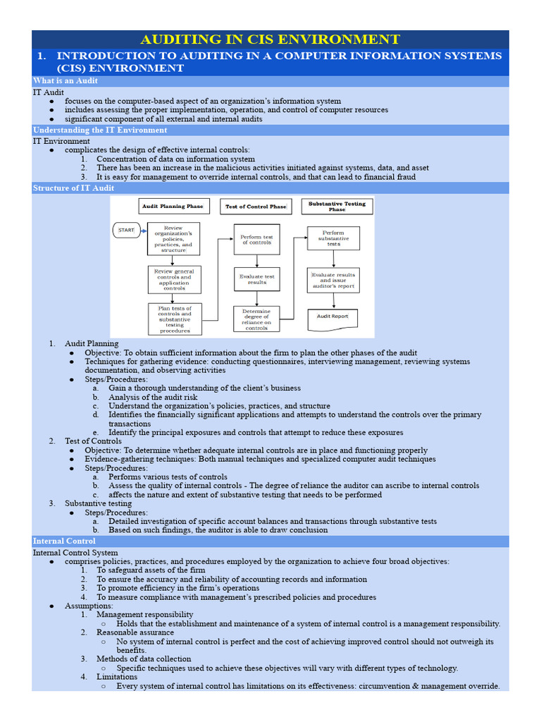 Auditing in Cis Environment | PDF | Internal Control | Audit