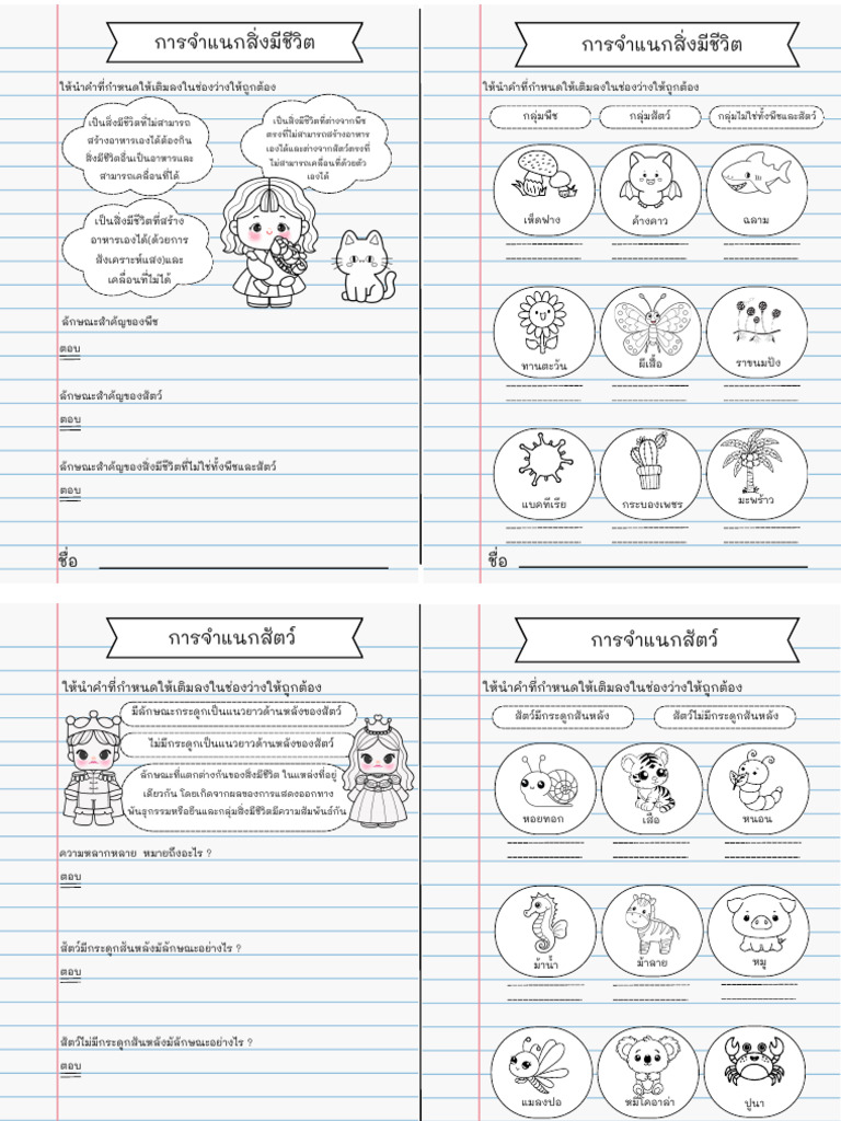 ใบงานติดสมุด ป.4 | PDF