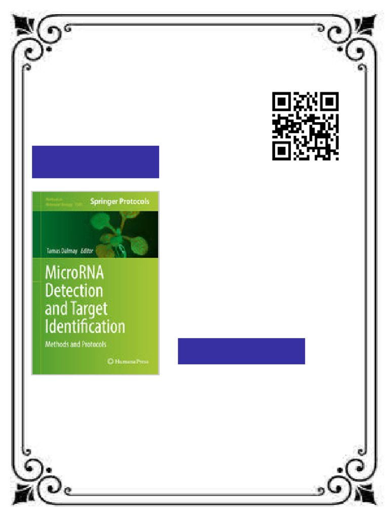 MicroRNA Detection and Target Identification Methods and Protocols 1st ...