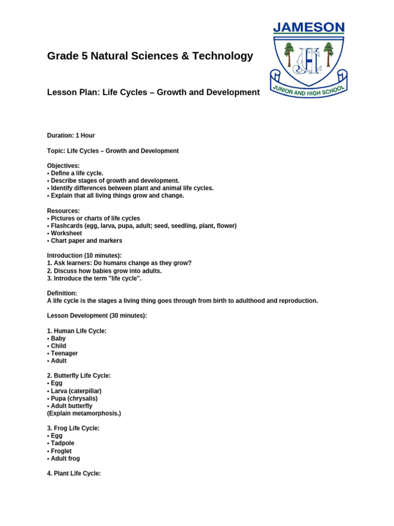Lesson Plan 6 Grade 5 | PDF