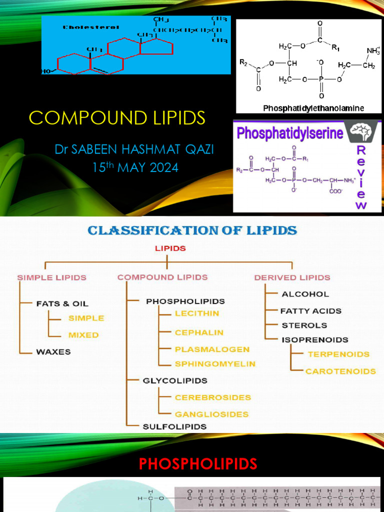 Bds Compound Lipids 15-5-24 SHQ | PDF | Lipid | Biochemistry